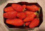 Fraises 250g