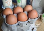 6 Oeufs de la Ferme - EARL De La Martellerie
