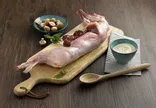 Lapin
