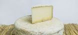 Tomme Corse