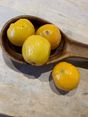 Citrons confits au sel