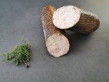 Andouille de Vire