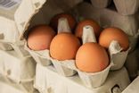Oeufs frais plein air x 6