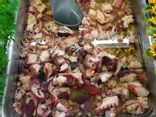 Poulpes marinés "Nature"