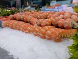 Langoustine cuite