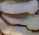 Storia di Gusto