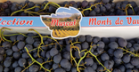 Raisin noir Muscat