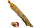 SAUCISSON CORSE