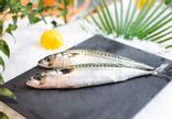 Poissonnerie Villard - Le Mesnil-Esnard