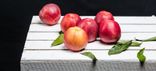 Pomme Royal Gala