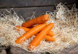 Carottes