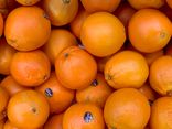 Orange Navel