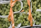 Raisin Blanc sans Pépin