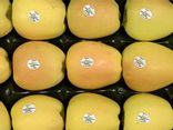Pomme Golden