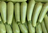 Courgette Blanche