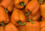 Poivron Orange