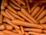 Carottes