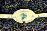 Raisin Muscat