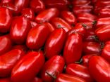 Tomates Torino