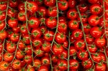 Tomates Cocktail