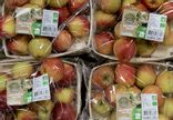 Petite Pomme BIO Pixie