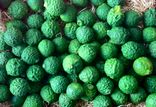 Citron Combava