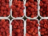 Framboise