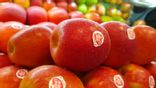 Pomme Pink Lady