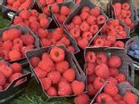 Framboise