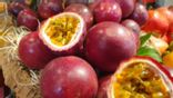 Fruit de la passion