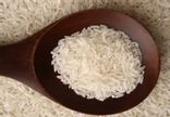 Riz de Camargue