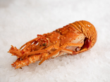 Langoustes cuites