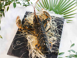 Homard bleu cuit 800/1000