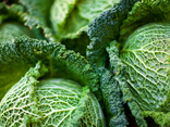 Chou vert
