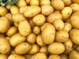 Pommes de terre Blanche