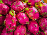 Pitaya