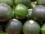 Courgette ronde