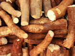 Manioc