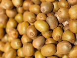 lot de 5 kiwis verts