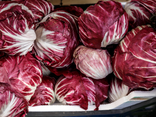 Endives Carmines