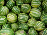Pastèque Tigrée
