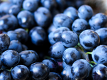 Raisins noirs Muscat