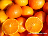 Oranges à dessert Lusar
