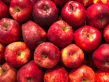 Pomme Braeburn bio