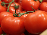 Tomates Saint Pierre