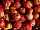 Pommes Ariane