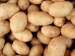 Pommes de terre Safrane