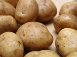 Pommes de terre Marabel BIO