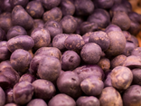 Pommes de terre Bleu d'Artois