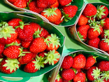 Fraises dream